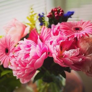 Meet your Posher, Eryn